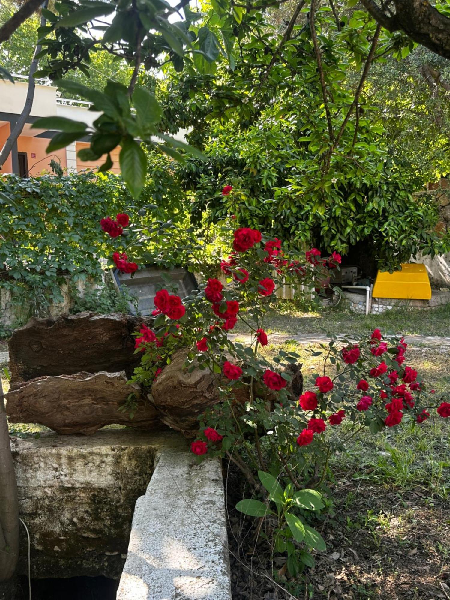 Sakliderebutikotel Едреміт Екстер'єр фото